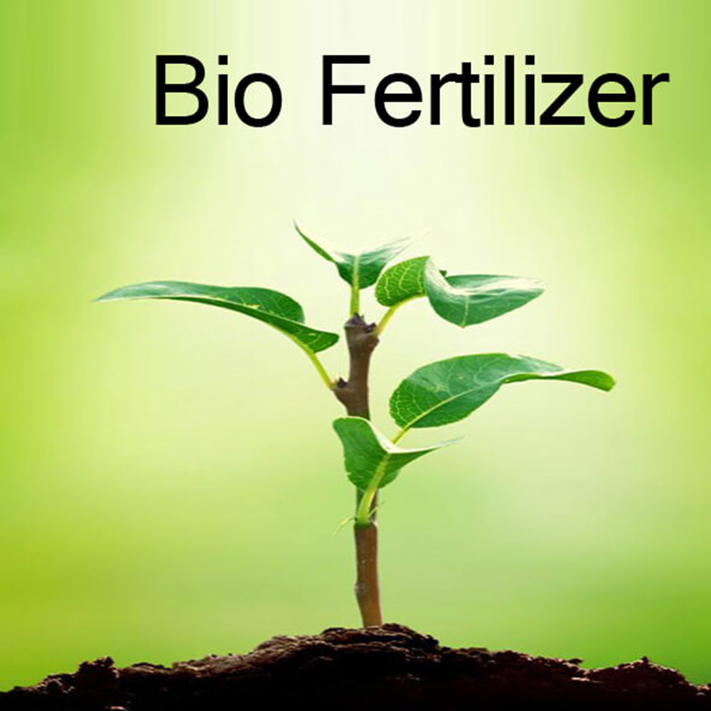 Bio-fertilizer