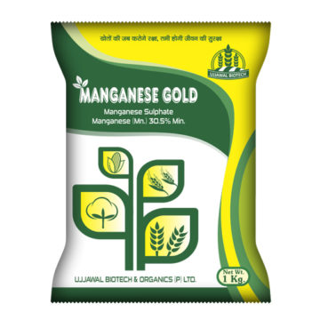 Manganese Gold
