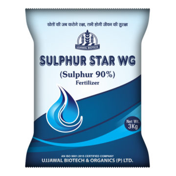 Sulphur Star - WG