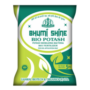 bhumi shine